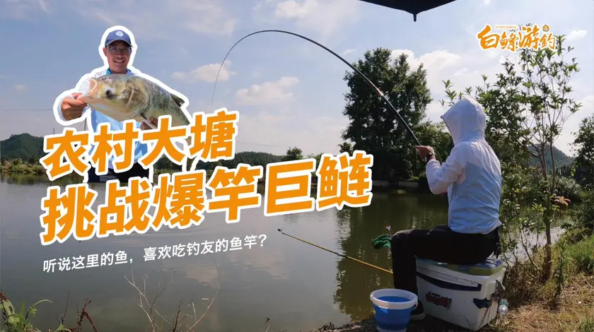 白条杀手农村在小池塘里藏了一条大鱼，钓友折断了几根鱼竿[视频]